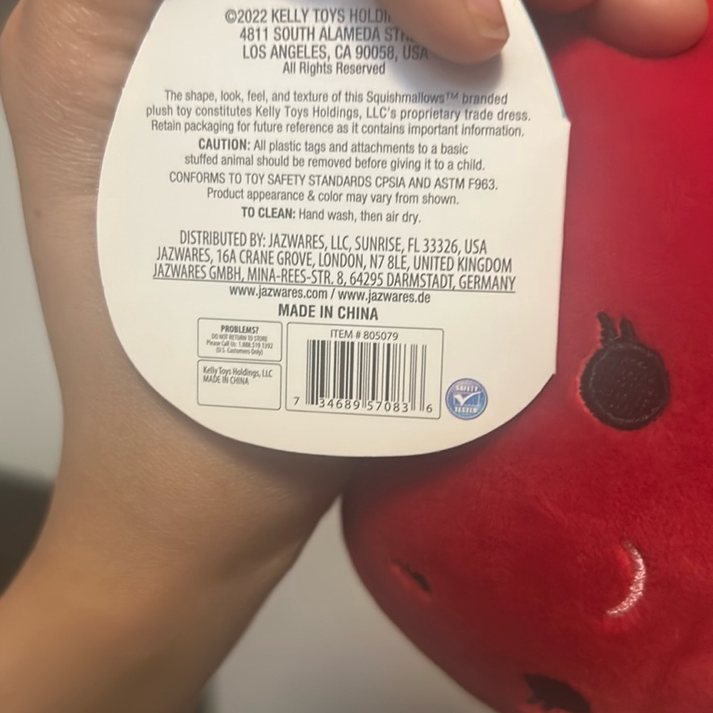 Brand New 5” Watermelon Winsey Squishmallow - Picture 3 of 3